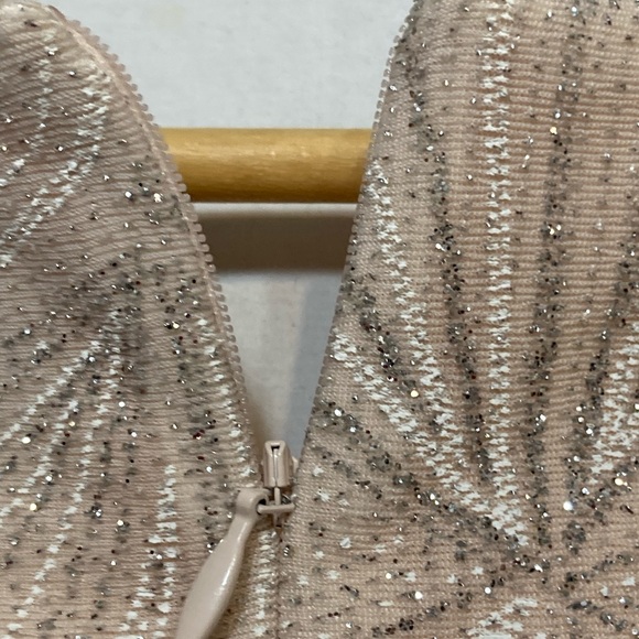 JH EVENINGS FORMAL LIGHT PEACH / PINKISH WITH SILVER METALIC DRESS SIZE 16 NWT - Picture 10 of 15